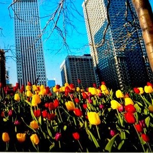 Meet your Posher, Rivernorth